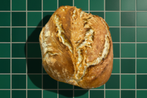 TGTG_ pane_1
