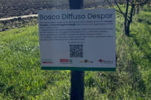 Screenshot 2025-11-26 180253