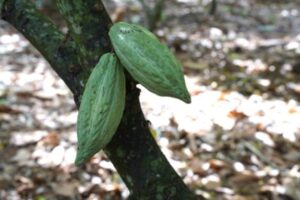 image_870x_69981654b0c90