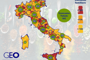 ConsumiFamiliariInsaporitori_GEO Marketing