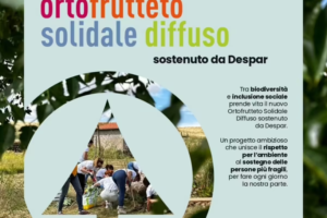 Despar – agricoltura solidale